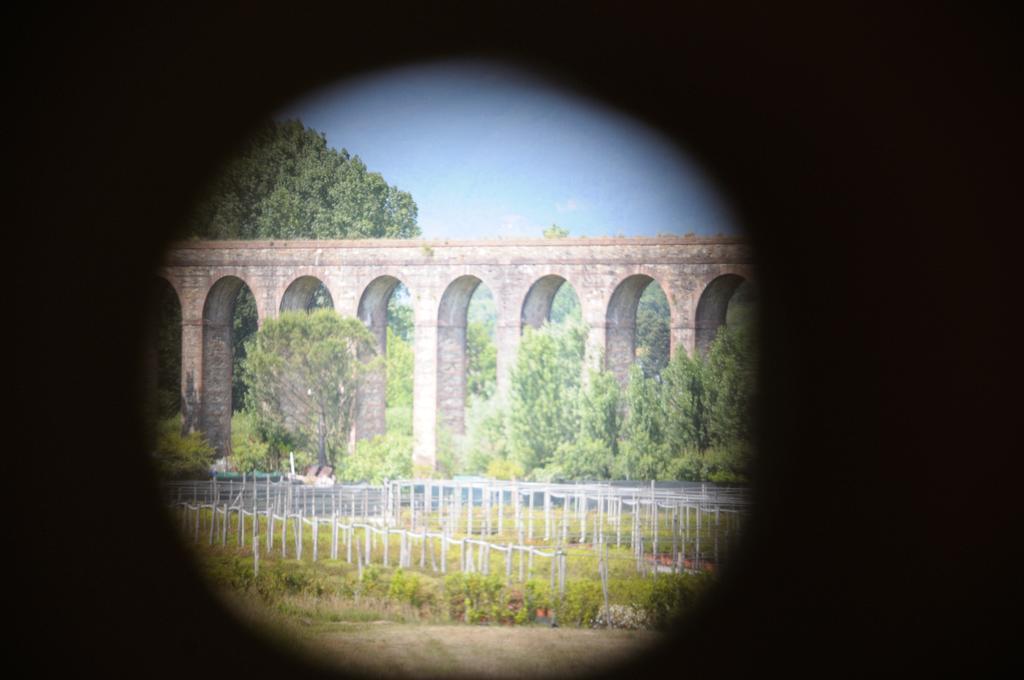 Appartamenti Vacanze Il Nottolini Capannori Exterior foto